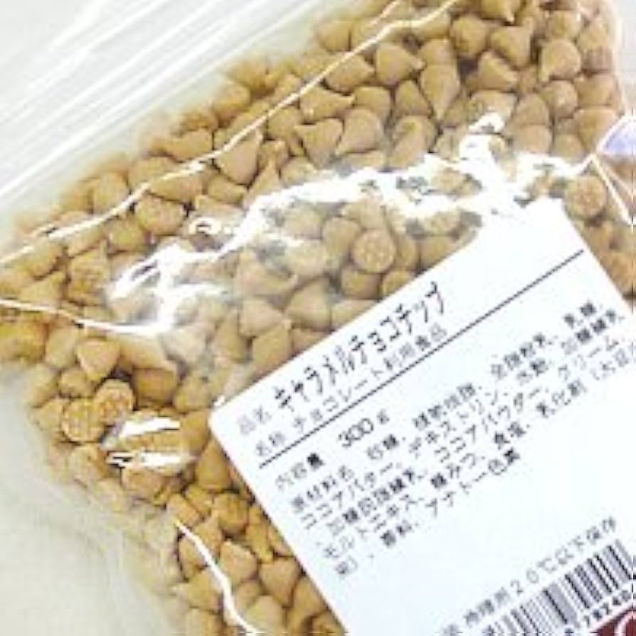 チョコチップ　チョコレート　製菓材料　製菓用　業務用　300グラム　パン　焼菓子 チョコチップ チョコレート 製菓材料 製菓用 業務用 300グラム